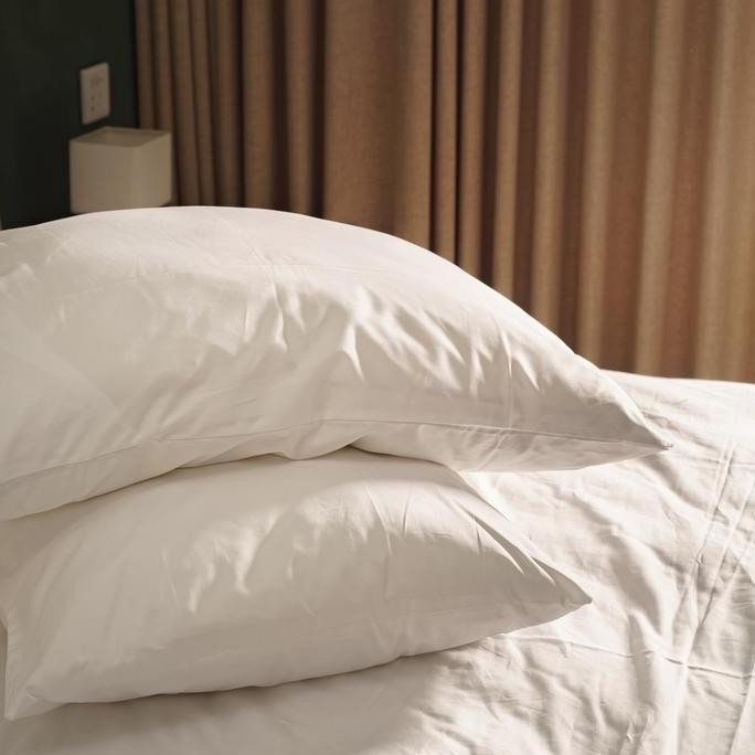 Pillow Case - Egyptian ELS Cotton Hotel Resort Spec