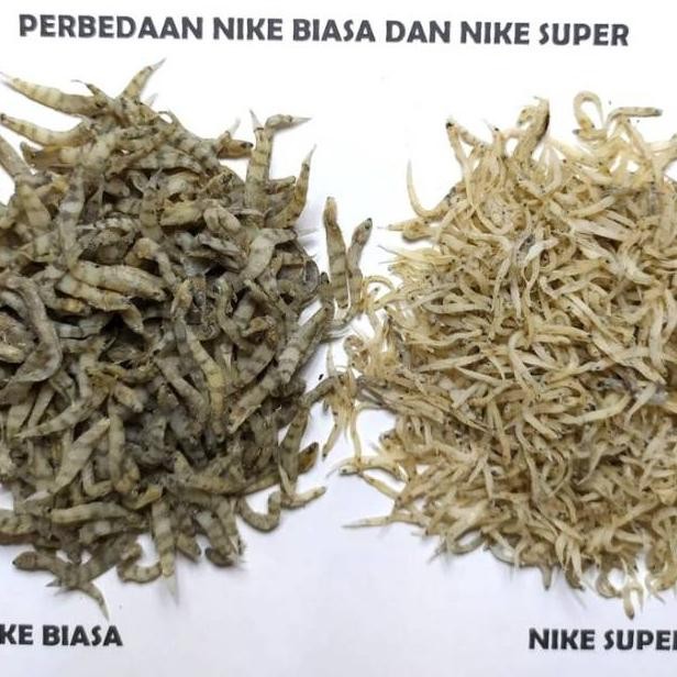 

Kz_12 Ikan Nike Kering/ Duo/ Penja /Ikan Seribu/Ikan Duang/ Ikan Asin Khas Sulawesi Nikek Kemasan 1 Kg An-45