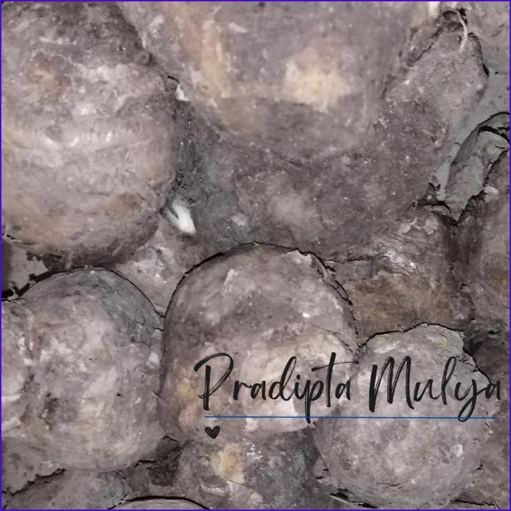 

Yok Di Order Promo!!! Temulawak Super Segar 500 Gram