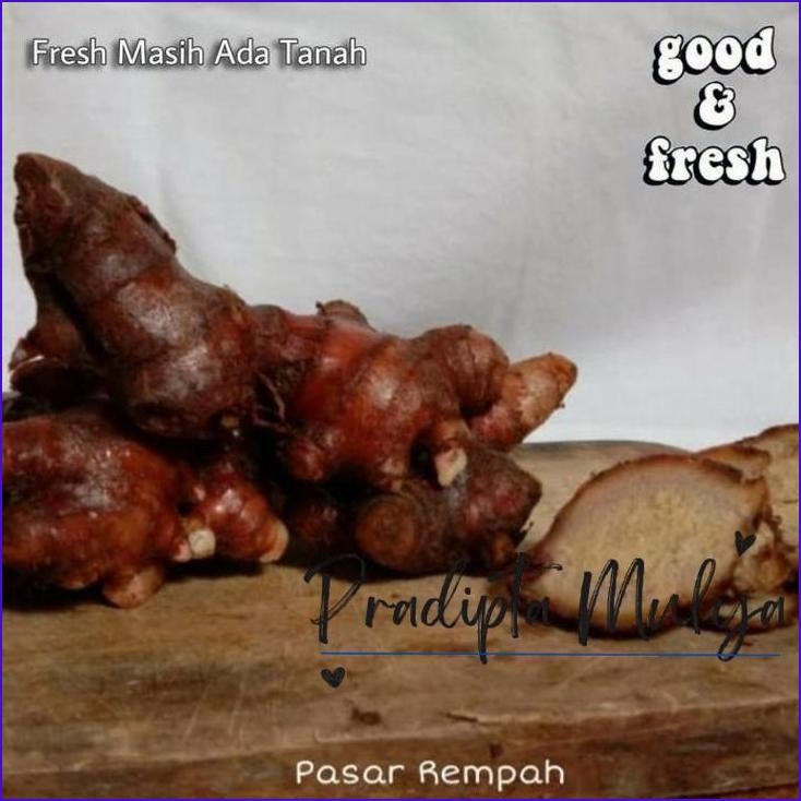 

Ready..!! Jahe Merah 1 Kg / Jahe Merah Medan Segar