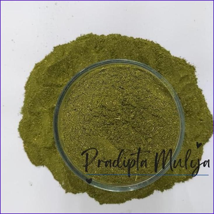 

Langsung Di Co Bubuk Daun Kelor 100% Murni Premium