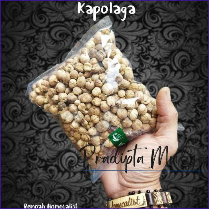 

Yok Di Co.! Kapolaga 100Gr Kapulaga