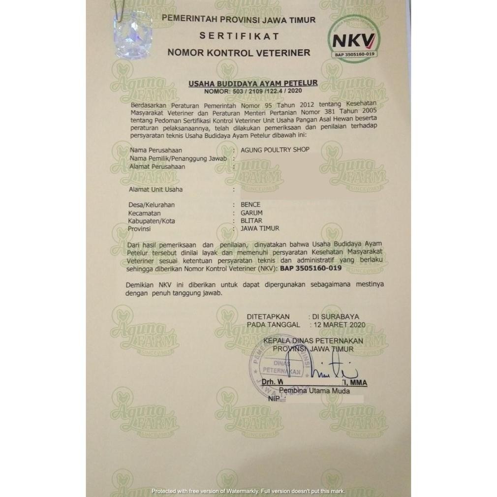 

TELUR AYAM NEGRI NEGERI SEGAR KEMASAN 15 BTR DARI KANDANG NKV