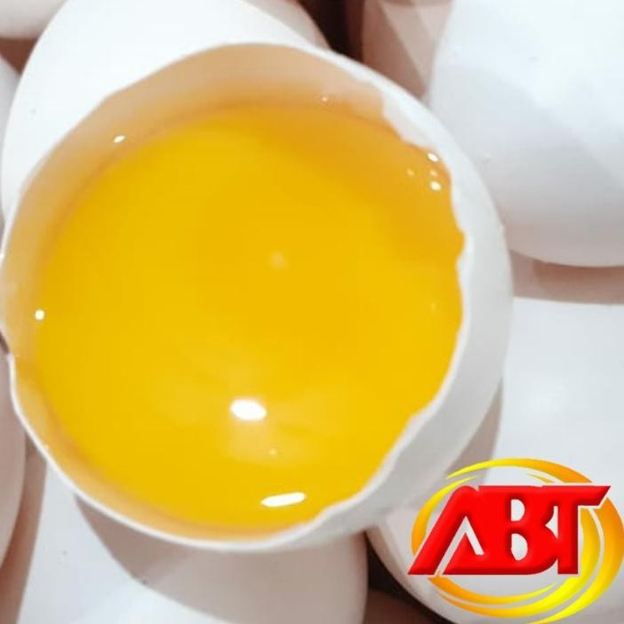 

ABT - TELUR AYAM KAMPUNG ASLI FRESH ISI KUNING