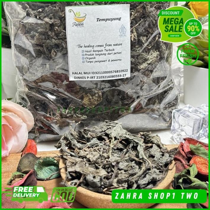 

SIMPLISIA TEMPUYUNG KERING BERAT PRODUK 500 GRAM BEST PRODUCT