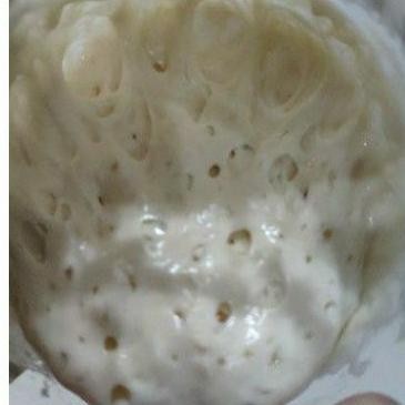 

Starter Sourdough Active / Ragi Alami / SOURDOUGH STARTER SV