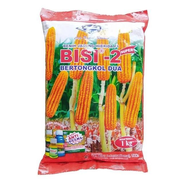 Benih Bibit Jagung Hibrida Bisi 2 Tongkol Dua Original 1 Kg