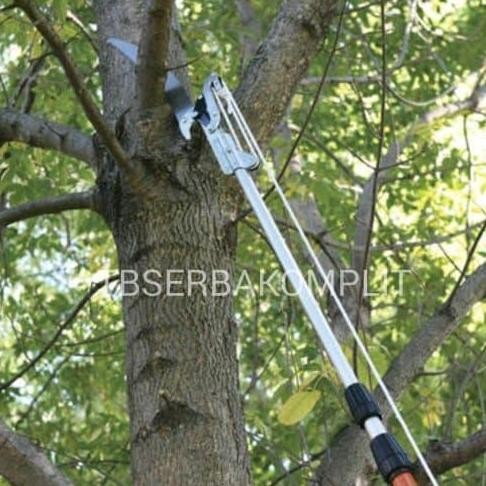 Gergaji Dahan Gergaji Pohon Gunting Galah Gunting Tarik Tree Pruner