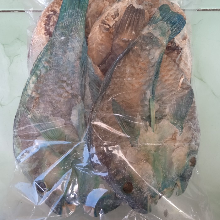 

Ikan Kakatua Kering / Ikan Asin / Ikan Garam - Asli Palu