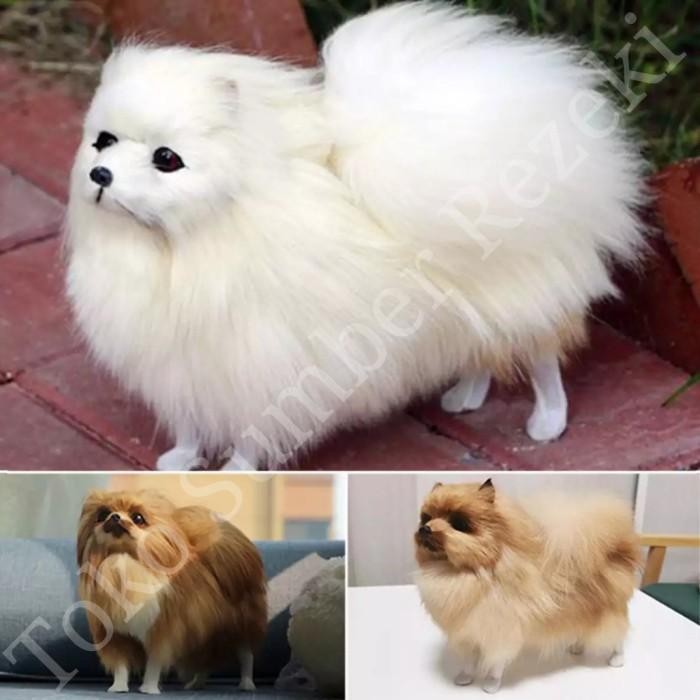 New 100% Originalll Boneka Anjing Minipom Lucu Bulu Tebal Empuk Dog Doll Cute Mini Pom Termurah Best