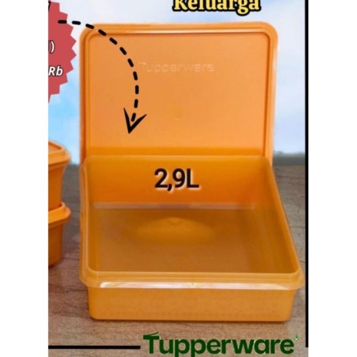 PROMO KOTAK KUE TUPPERWARE SNACK STOR (1) TOPLES KUE RUI914