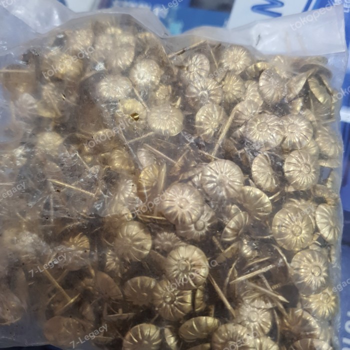 ((((()paling dicari] PAKU MATA KUCING SOFA HIAS / PAKU PINES MATA KUCING BUNGA