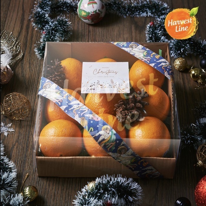 

PARCEL HAMPERS NATAL BUAH FRUIT BOX [HARVEST LINE]