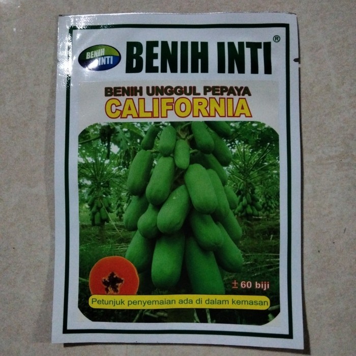 ASLI BENIH PEPAYA CALIFORNIA ISI 60 BIJI - BIBIT PEPAYA KALIFORNIA CALINA KODE 599