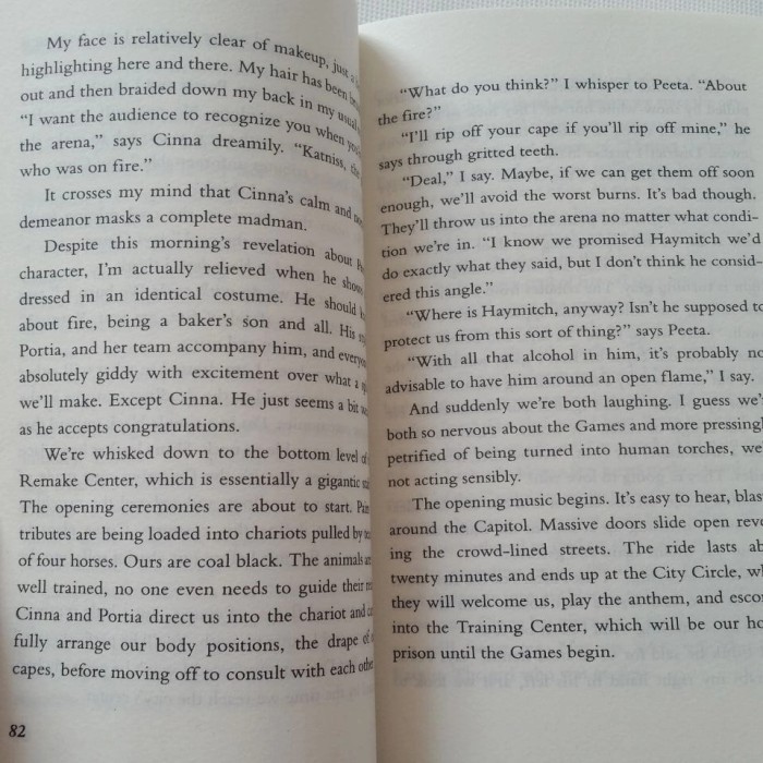 THE HUNGER GAMES TRILOGY1-3