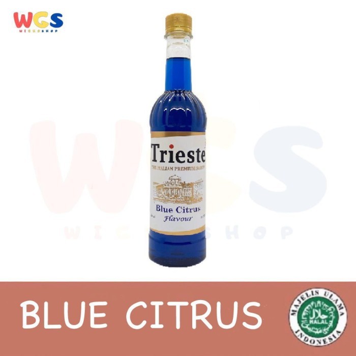 

TERLARIS TRIESTE SYRUP BLUE CITRUS PREMIUM FLAVORED 650ML - BLUE LAGOON - BLUE CURACAO - HALAL MUI