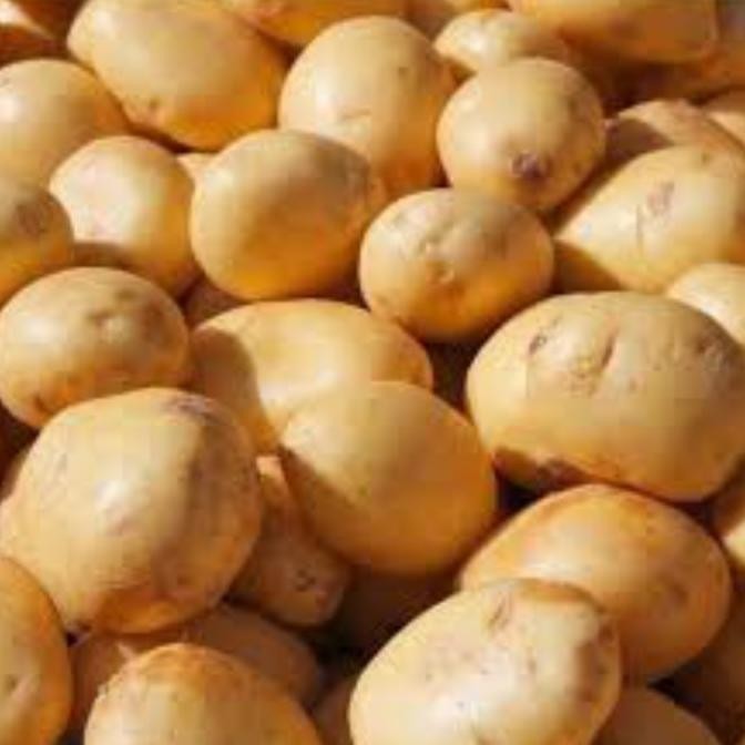 

Kentang Dieng 1000 Gram Original