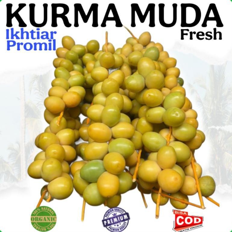 

tin- prol kurma muda fresh full - kurma muda prol segar kurma muda ruthob fresh