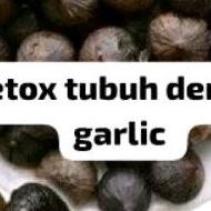 

Bla Garlic Tunggal Bawang Hitam Tunggal Darah Tinggi Oletrol Aam Urat Ala Jantung Trou Bawang Hitam Bla Garlic 200 Grm