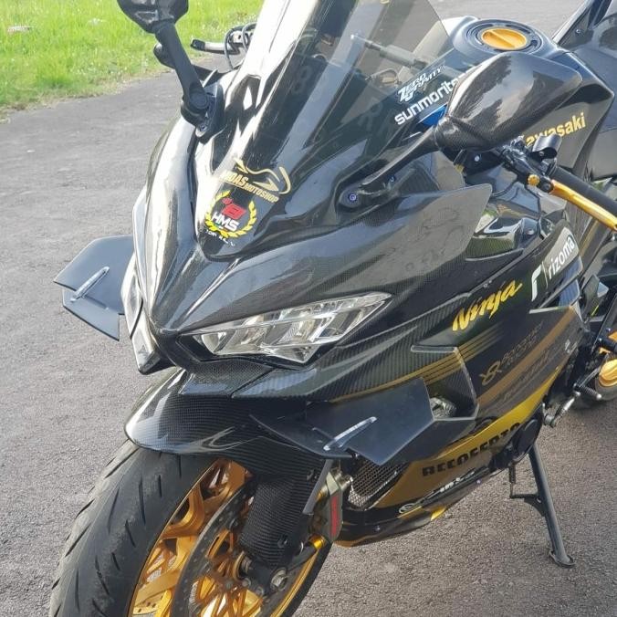 Promo Wingside Winglet Downforce New Ninja 250 FI - All New Ninja COD