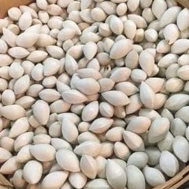 

BIG SALE GINKO NUT KULIT 500GRAM/KACANG GINKO BILOBA PEKKO !!!!!