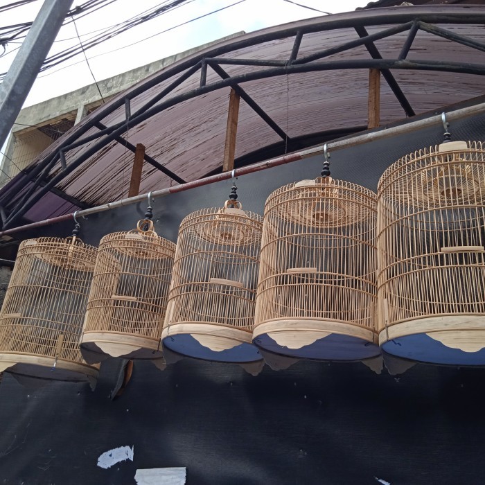 sangkar murai mentahan raffi jaya