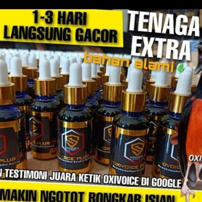 Oxivoice Plus Vitamin Burung Murai Batu dan burung kicau lainnya