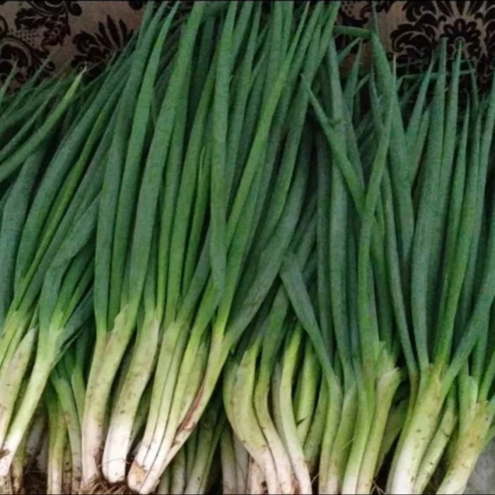 

Ready Daun Bawang Segar 1 Kg Best Seller