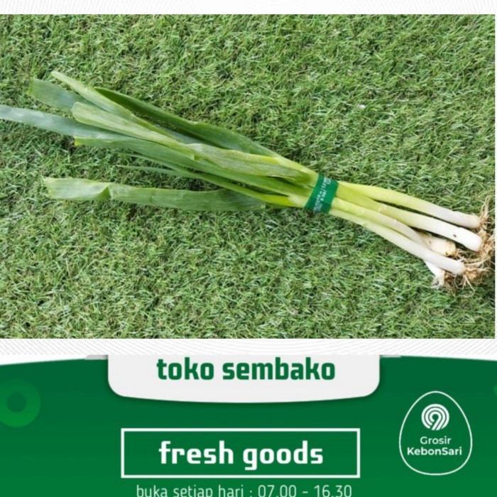 

Harga Termurah Bawang Prei Best Seller