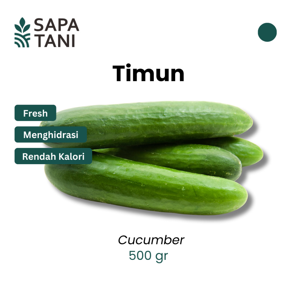 

Sapatani Timun 500gr Sayuran Berkualitas Tinggi untuk Lalapan & Salad