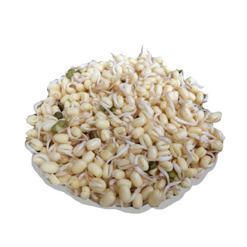 

Etira Mushroom Slice 250Gr