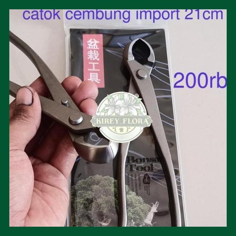 Catok Cembung Tanaman Bonsai Import 21 Cm