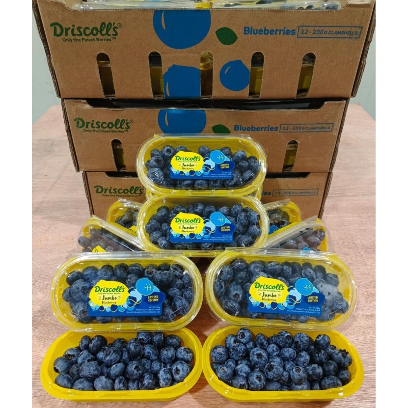 

Blueberry Driscolls Jumbo Australia 1 Dus (12 Pack) Fresh Import