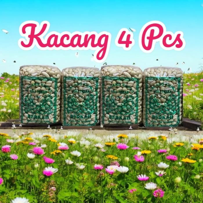 

BARANG TERLARIS Kacang Kupas Tuban Paket 4 Bungkus Berat +-350 0gram Food Snacks Cemilan Makanan