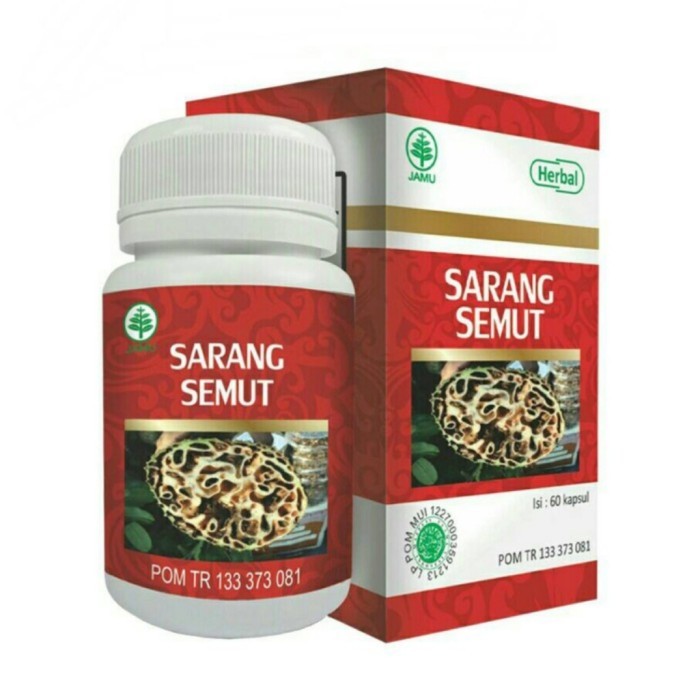 

ORIGINAL HIU Kapsul Ekstrak Sarang Semut PREMIUM