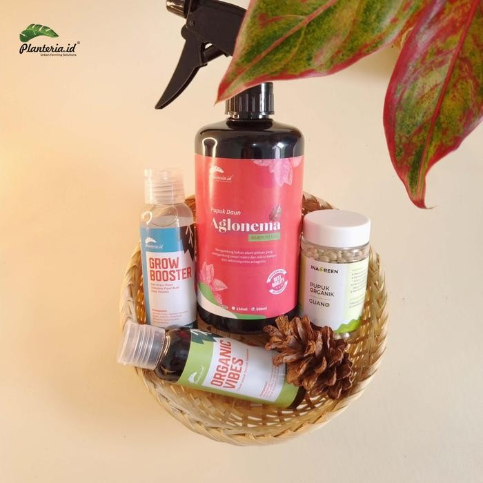 

Paket secret garden of umi Lite solusi Aglonema sehat dan subur by Planteria.id Daun Pupuk Tanaman