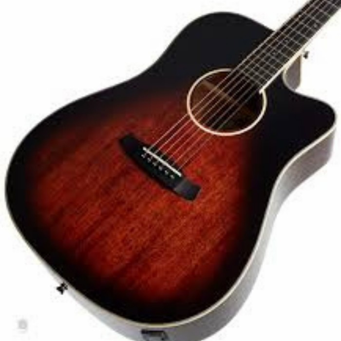 GITAR AKUSTIK ELEKTRIK TANGLEWOOD TW5 E AVB Dreadnought Cutway