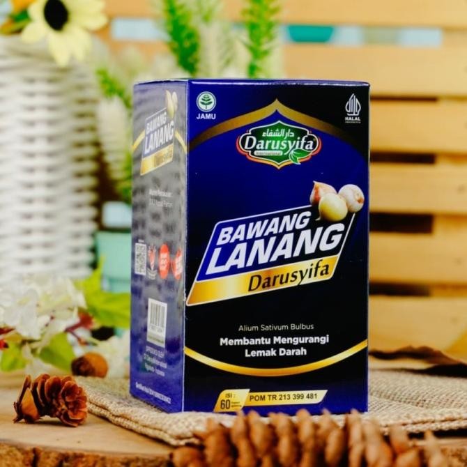 

KAPSUL BAWANG LANANG DARUSYIFA/ BAWANG LANANG PENURUN LEMAK DARAH ORIGINAL