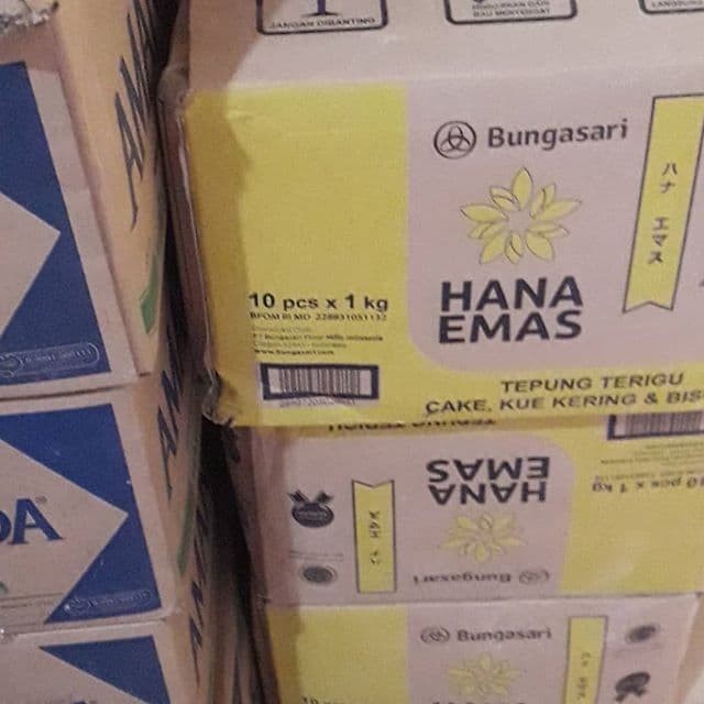 

TERIGU HANA EMAS