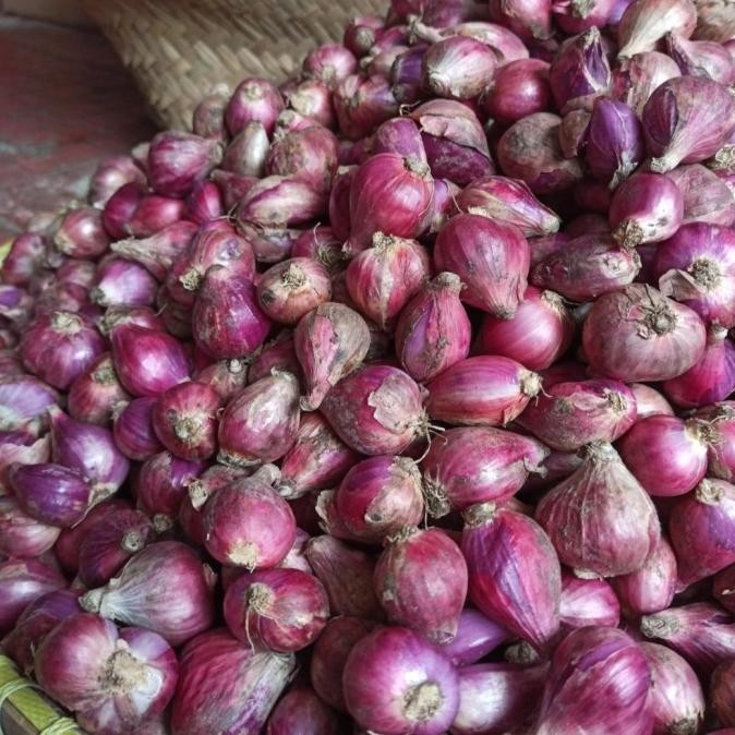 

BAWANG MERAH SEGAR 1 KG ORIGINAL