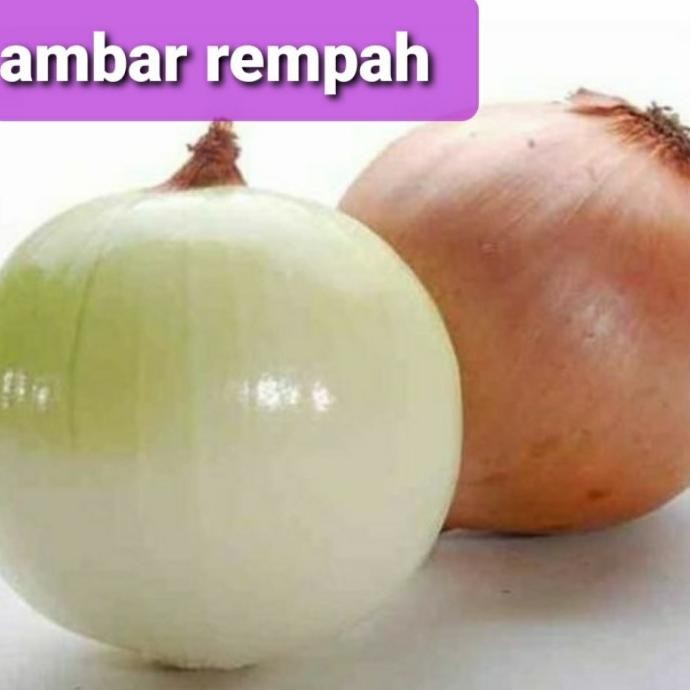 

BAWANG BOMBAY KUPAS 1KG. ORIGINAL