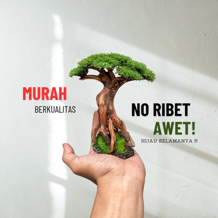PROMO bonsai mini hiasan akuarium