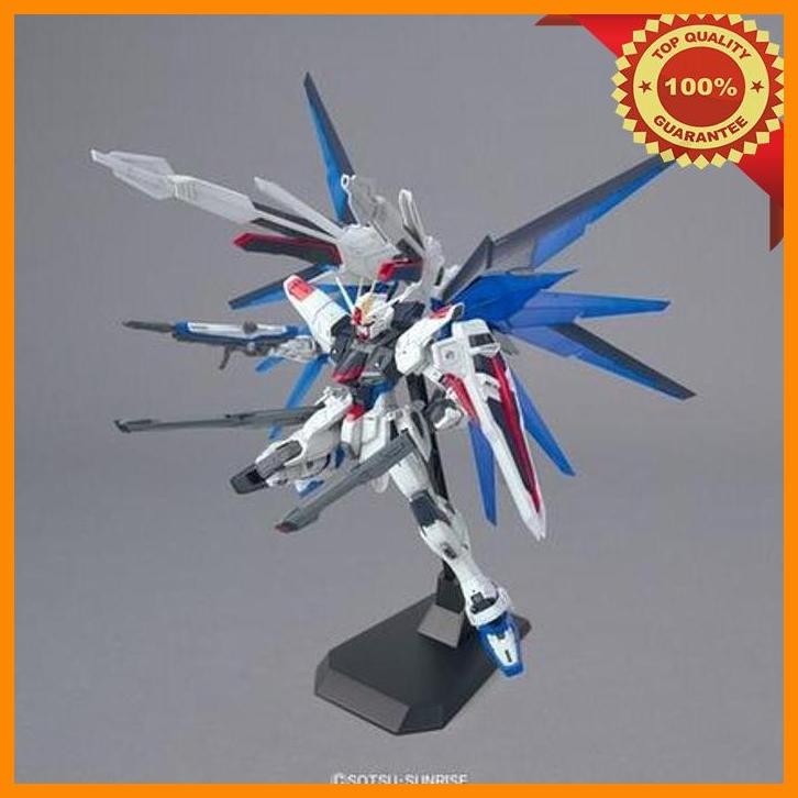 [AMC] 1/100 MG FREEDOM GUNDAM VER 2.0