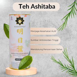 

Ashitaba Immune Boost Tea - Perlindungan Alami dari Penyakit
