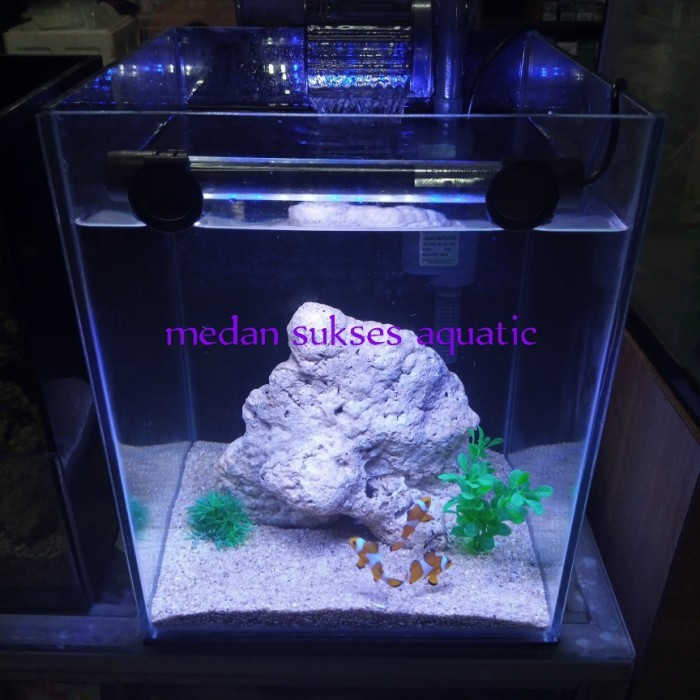 Starter Pack Aquarium Air Laut / Aquascape Air Laut / Aquarium Nemo