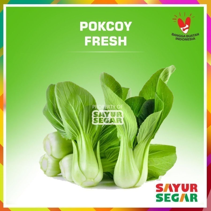 

[DEPOK] PAKCOY / POKCOY / PAK COY SAYUR [1 Ikat] FRESH