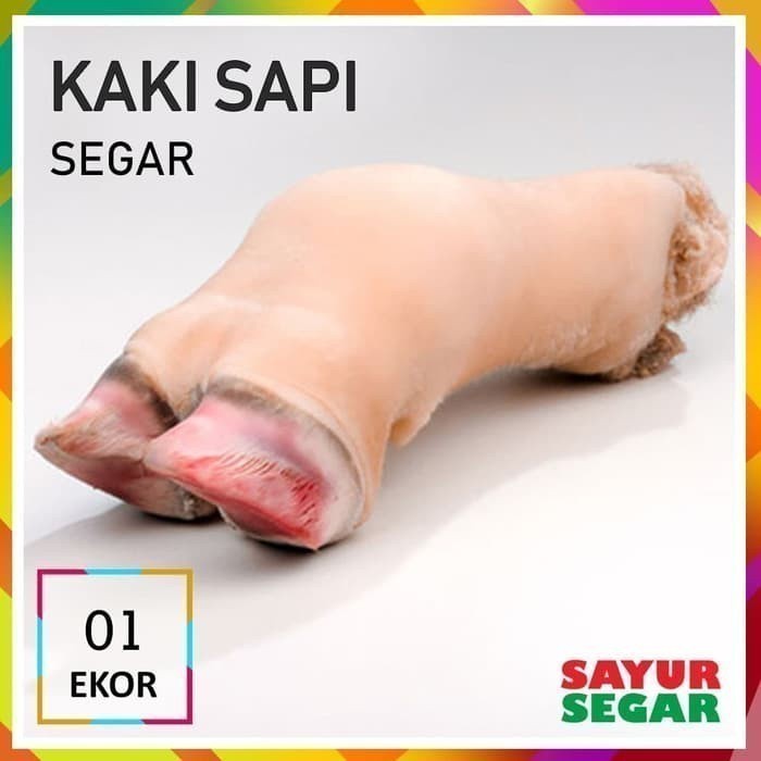 

Kaki Sapi Segar [1 Ekor]
