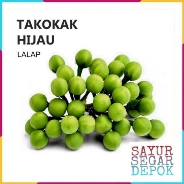 

TAKOKAK SAYUR LALAP