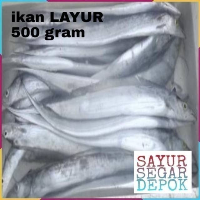 

Ikan layur segar