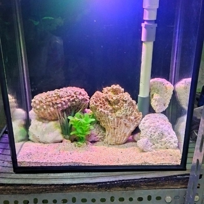 aquarium air laut full set